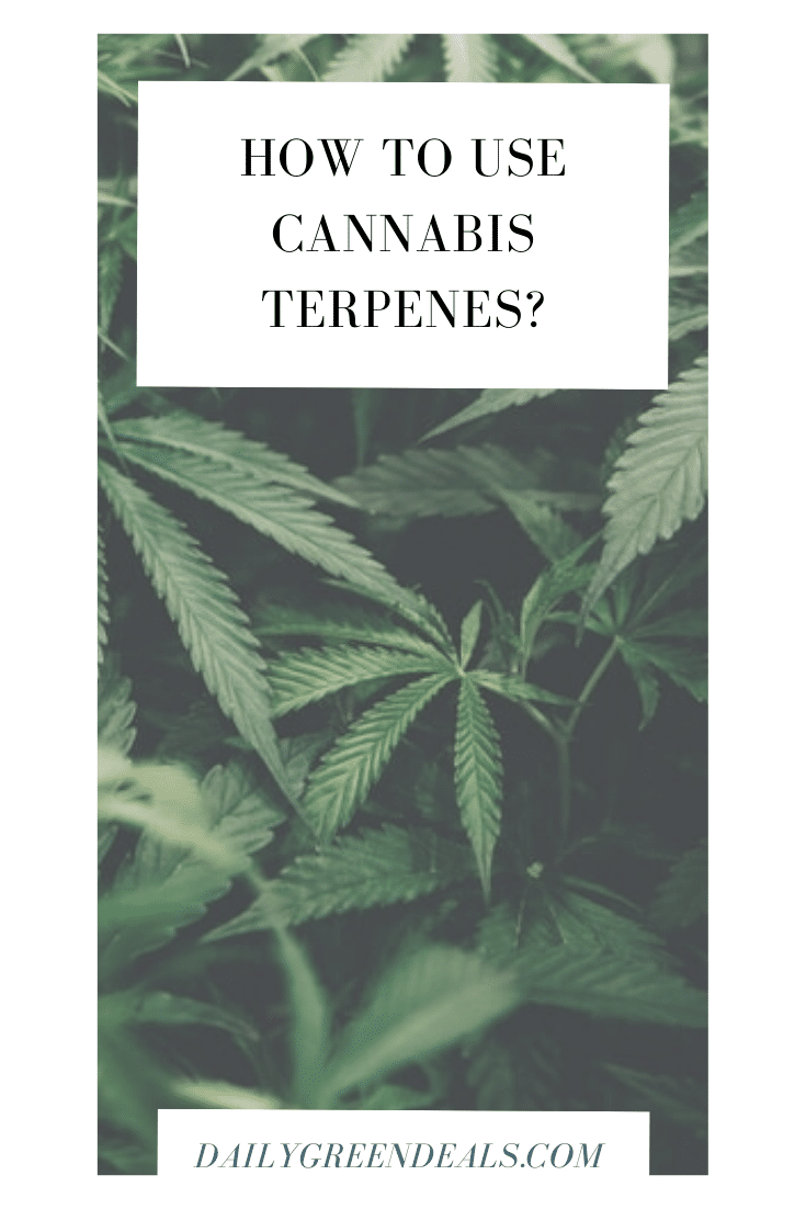 What Are Cannabis Terpenes and What Do They Do? February 2023 - Daily ...