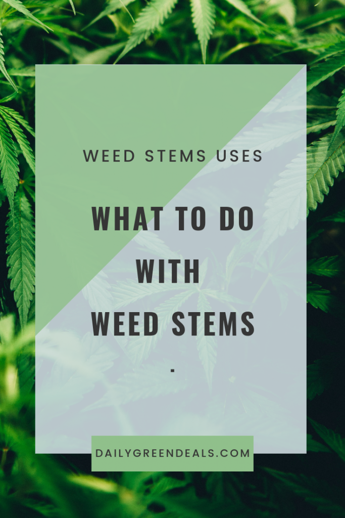 Can You Smoke Weed Stems? April 2024 Daily Green Deals