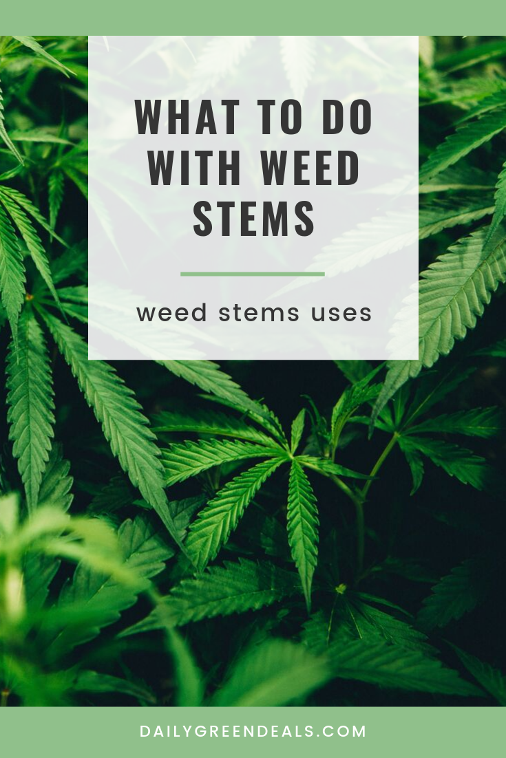 Can You Smoke Weed Stems? April 2024 Daily Green Deals