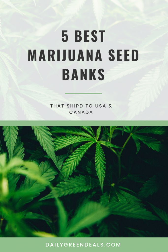 Where To Buy Marijuana Seeds - 5 Best Seed Banks That Ship To USA ...