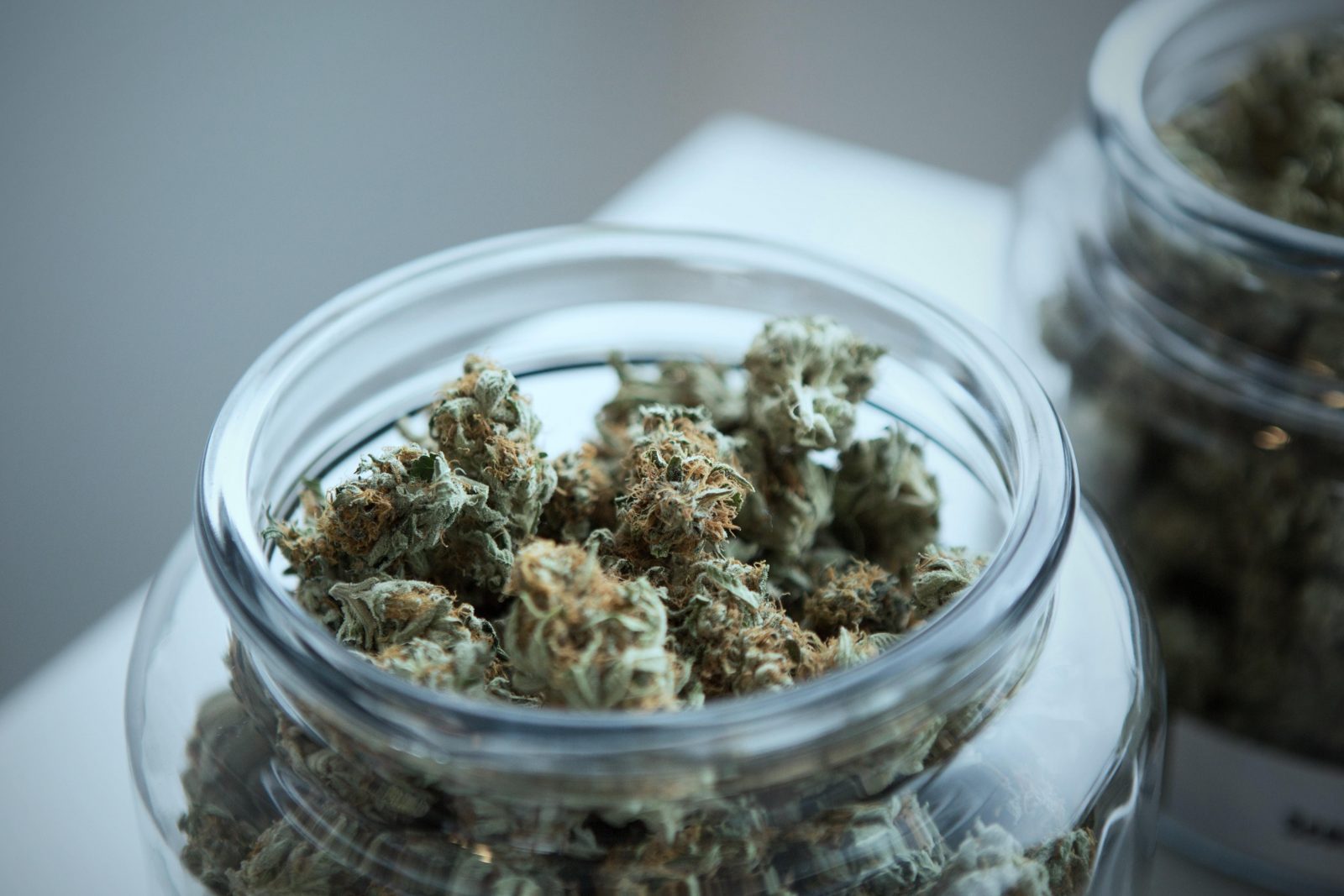 green-cannabis-in-a-jar